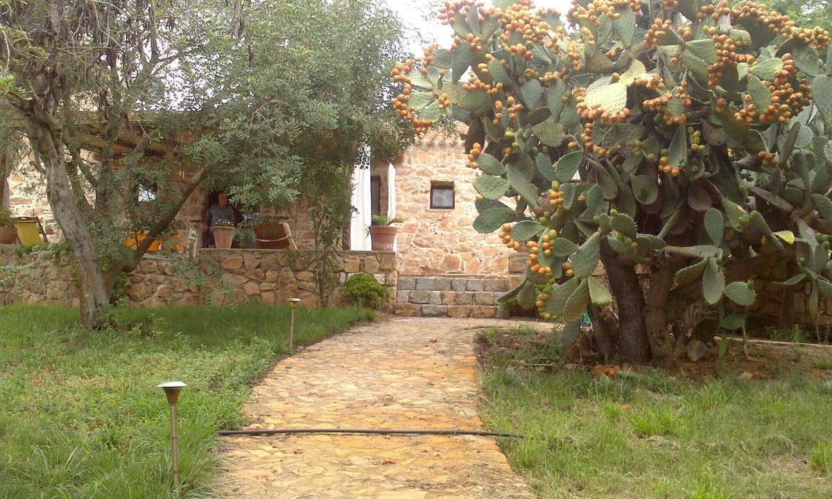 Baunei House | 4 places stone farmhouse 2 km from the sea