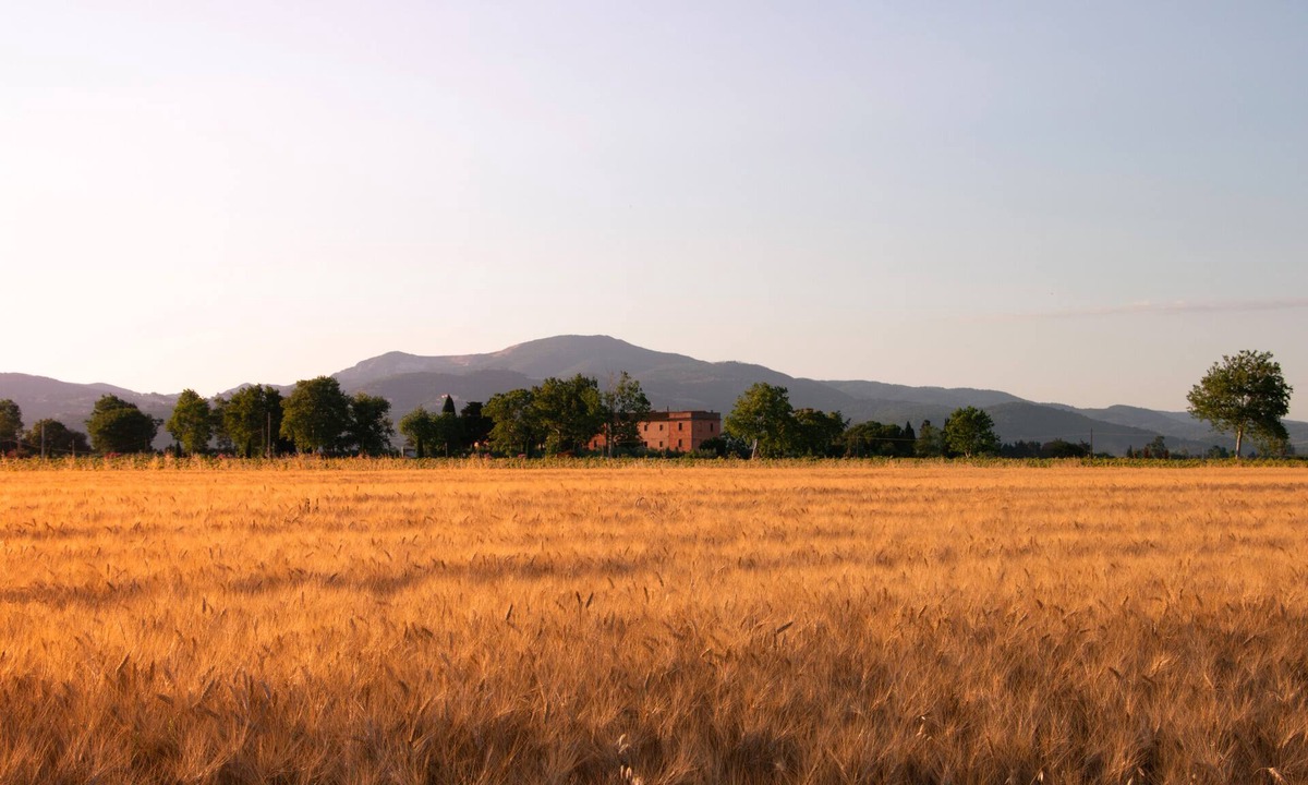 Piombino Other | Agriturismo Il Pescinone - Cipressino, between the countryside and the sea