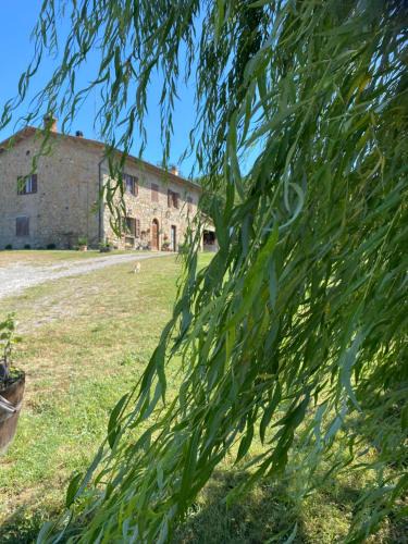 Montecatini Val di Cecina House | B&B Poderone