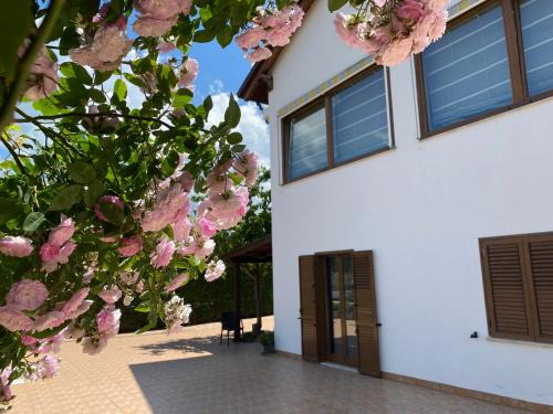 Quattromiglio Bed & Breakfast | Home B&B