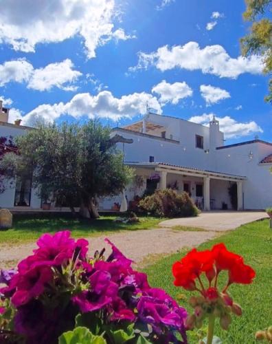 Melendugno Apartment | MASSERIA SALENTINA - Authentic Experience
