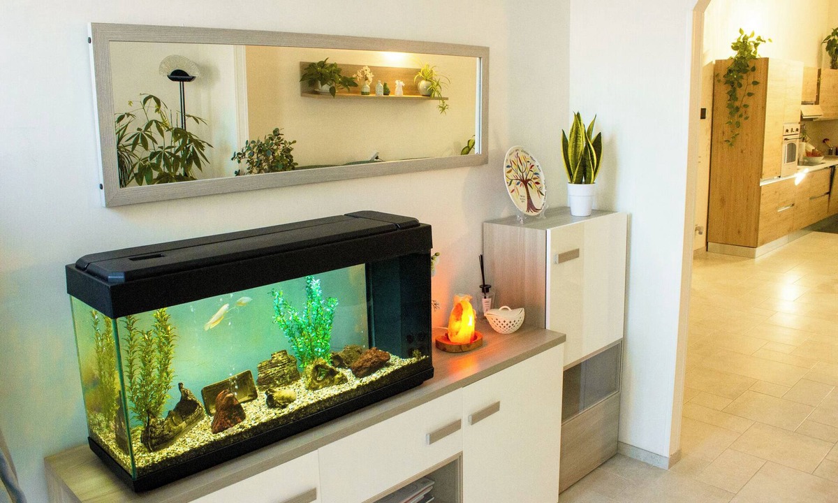 Serrano Apartment | The Green House - Suite with Garden view