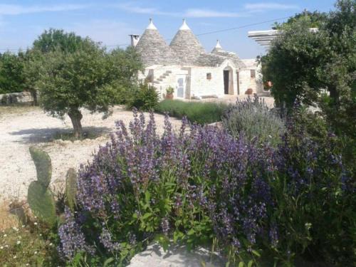 Martina Franca House | Trullo Raimondo