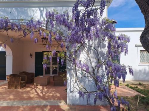 Castellaneta Cabin | Villa Francesca - Camere con giardino