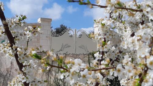 Cisternino House | VILLA KARMEL Valle d'Itria