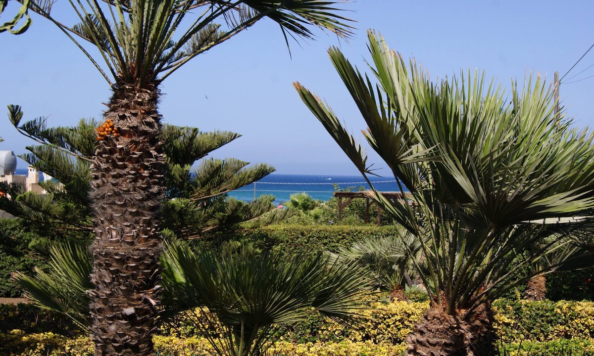 Pachino Villa | Villa Milena -Sicily