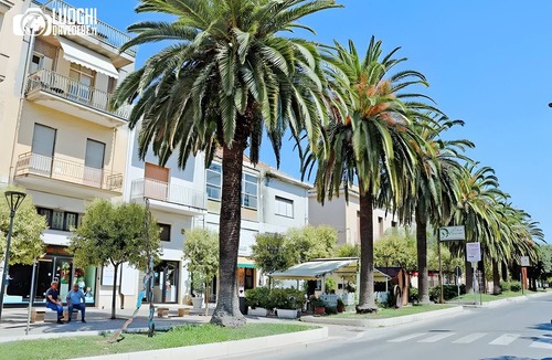 Marconia Apartment | Apartment 'Casa Letizia' with Private Terrace and Air Conditioning