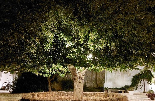 Polignano a Mare Apartment | Apartment 'Masseria San Martino' with Shared Pool, Wi-Fi and Air Conditioning