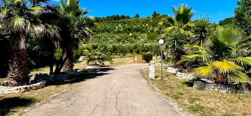 Peschici Bed & Breakfast | B&B La Formichina