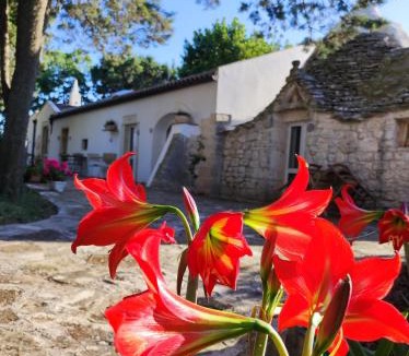 Gioia del Colle Bed & Breakfast | B&B Parco del Lamione