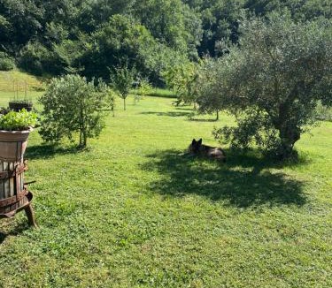 Montecatini Val di Cecina House | B&B Poderone
