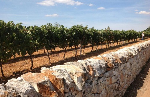 Cisternino Bed & Breakfast | B&B Via dei Trulli