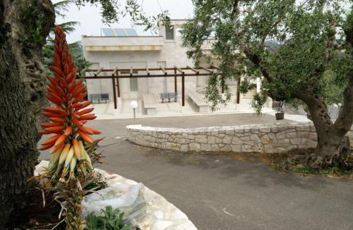 Locorotondo Bed & Breakfast | Bed & Breakfast La Collinetta