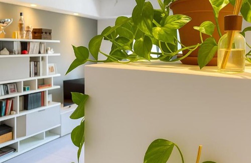 Brindisi Histotic Center Apartment | Brindisi's Finest Luxury Apartment