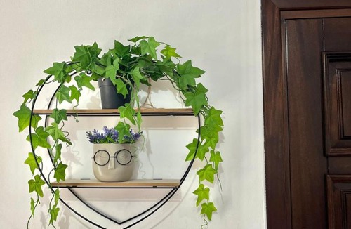 Grisolia House | Casa di Simone
