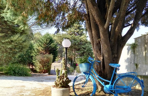 Ceglie Messapica Villa | Cozy and quiet cottage in the countryside of Ceglie, in Valle d'Itria