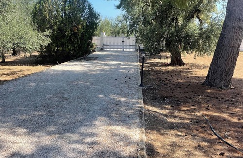 Trani Villa | Cozy guest house on private olive orchard estate surounded by fruit trees.