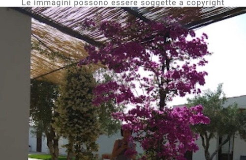 Rosa Marina Bed & Breakfast | Double room in ancient Masseria near by the sea.