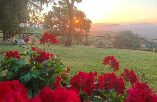 Bucine Apartment | Fattoria i Tribbi