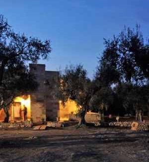 Spongano Apartment | Holiday apartment in an olive grove