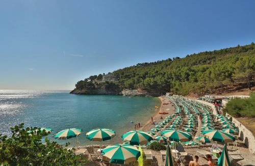 Vieste Hotel | Hotel degli Ulivi