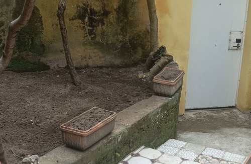 Vittorio Emanuele House | Il Giardino Nascosto