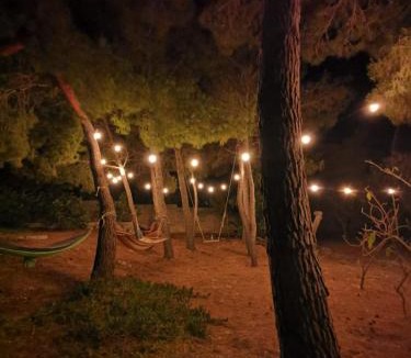 Pizzo Apartment | La Casa Nella Pineta - Gallipoli