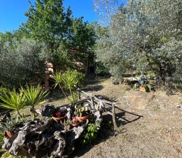 Roccastrada House | La Casetta dei Pereti