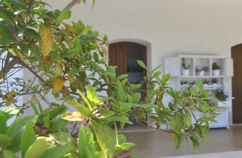 Lizzanello Villa | La Frantoiana