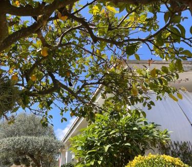Villammare Apartment | La Limonaia - Retreat