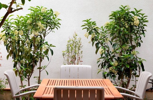Mondello Villa | MONDELLO COTTAGE ULIVO 1 | Beach Apartment with Private Garden & Parking
