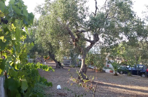 Alessano Apartment | OLIVE GROVE RESIDENCE IN SALENTO, IN THE COUNTRYSIDE A FEW KM FROM THE SEA