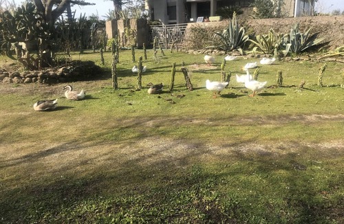 Paestum Apartment | Relaxation and privacy in park 1km from archaeological zone.