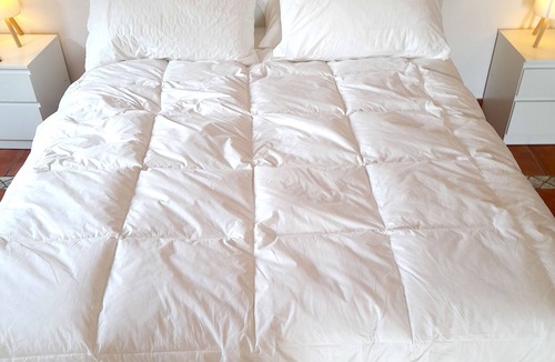 Magazzeno Bed & Breakfast | Room with a large terrace and breakfast nook; pets allowed