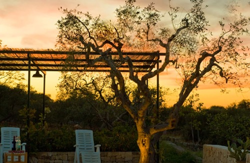 Martina Franca Villa | Trullo La Canonica - Itria Valley