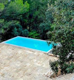 Locorotondo House | Trullo With Pool In The Woods Of Valle D'itria