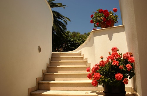 Torino di Sangro Apartment | Villa Anna - Unwind between nature, the sea and breathtaking landscapes