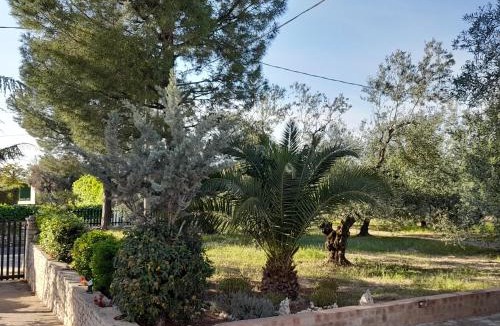 Andria Villa | Villa Hakuna Matata