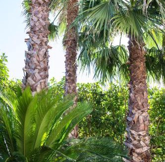 Maglie Bed & Breakfast | Villa Lazzari B&B Tra i due Mari