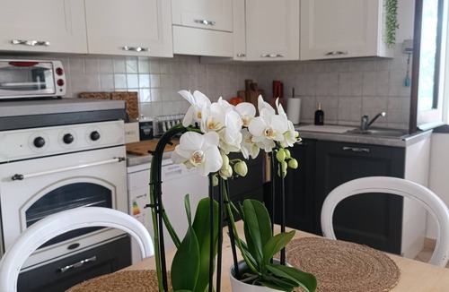 Sas Linnas Siccas Apartment | Villa le palme, 500 mt from the beaches of Sas Linnas Siccas Bay.