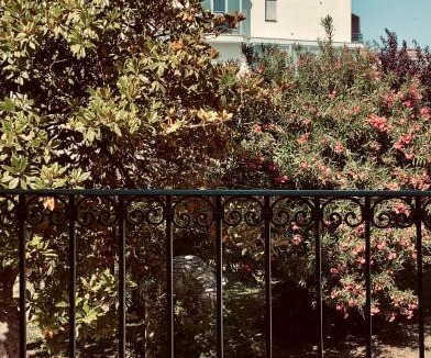 Montesilvano Bed & Breakfast | Villa Verlengia