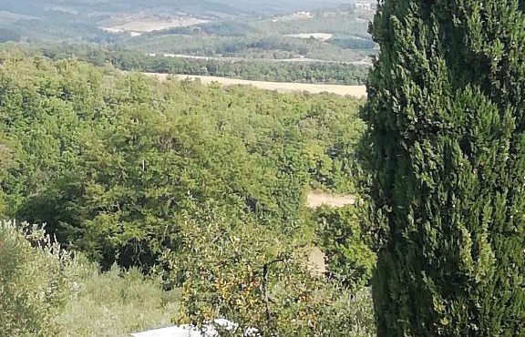 Agriturismo gli Arcangeli in Casole dʼElsa