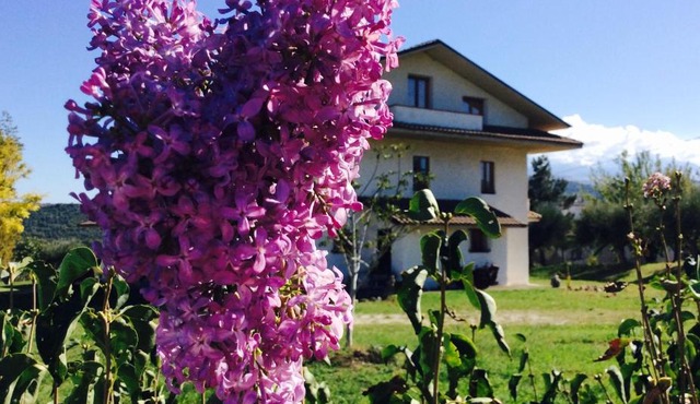 Agriturismo Le Terre d'Abruzzo Country House