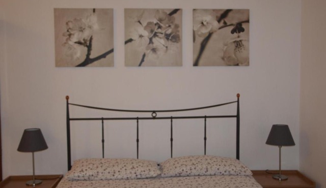Arió Sweet Home