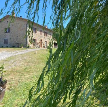 B&B Poderone in Querceto