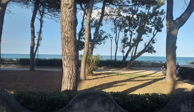 Bright quadruple room a stone throw from the sea