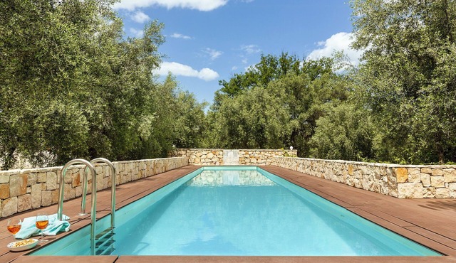 Designer villa with panoramic pool and olive trees