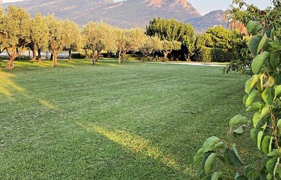 Dimora tra gli ulivi del Cilento in Capaccio Scalo