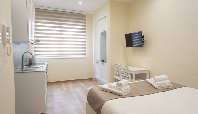 Dwelling Amelia 1 Apartment, tastefully finished downtown area for couples and families
