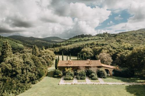 Ginestriccio in Bibbona